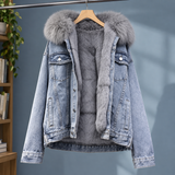 Erin Denim Jacket - Blue