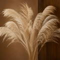Natural Beige
