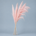 Blush Pink