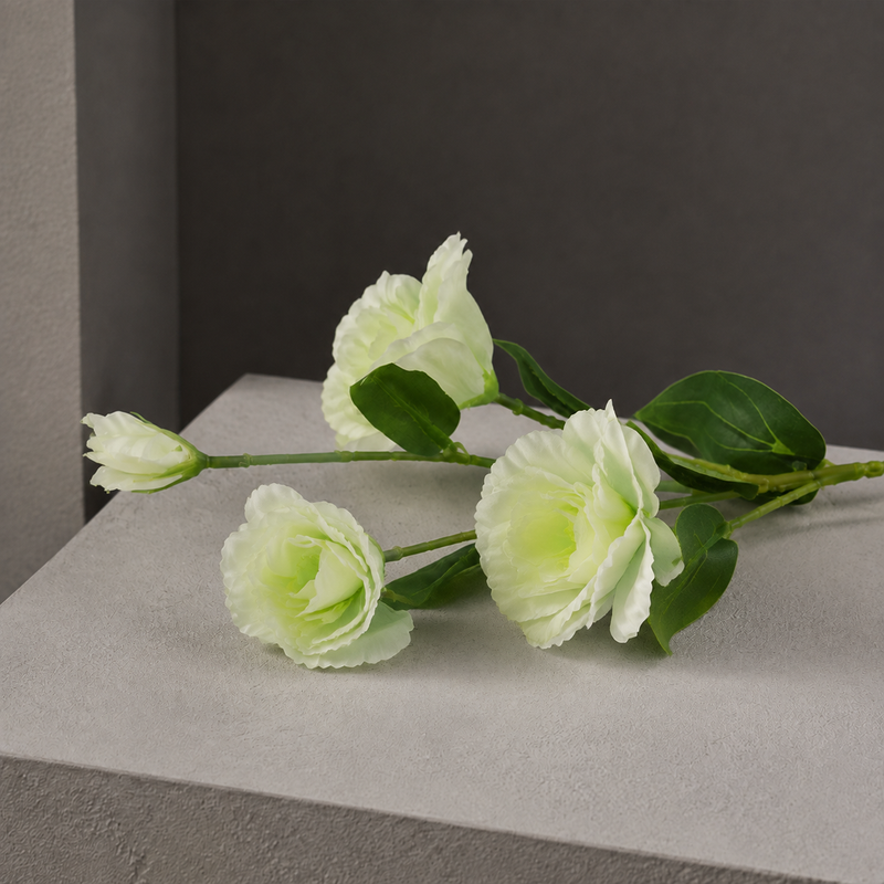 Anton Blooming Lisianthus Stem - Light Green
